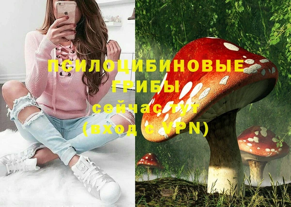 мет Арсеньев